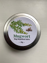 Organic Mogwort bug salve rosemary garden